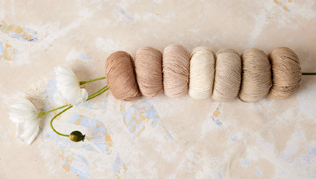 Coton Baby Cotton Naturally Colored de Lang Yarns