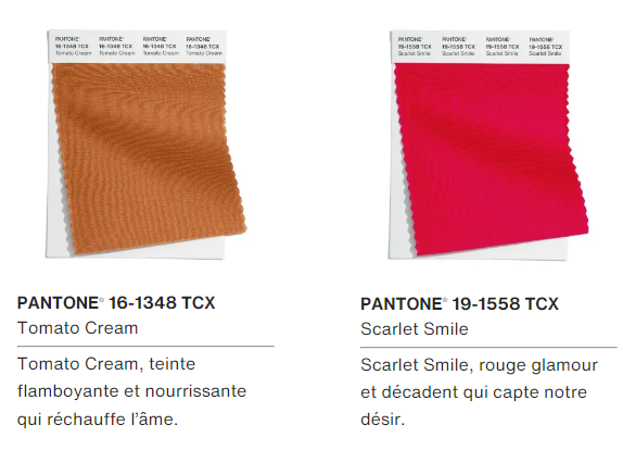 Couleurs Pantone Fashion Week New York automne hiver 2024-2025