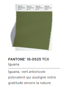 Couleurs Pantone Fashion Week London automne hiver 2024-2025