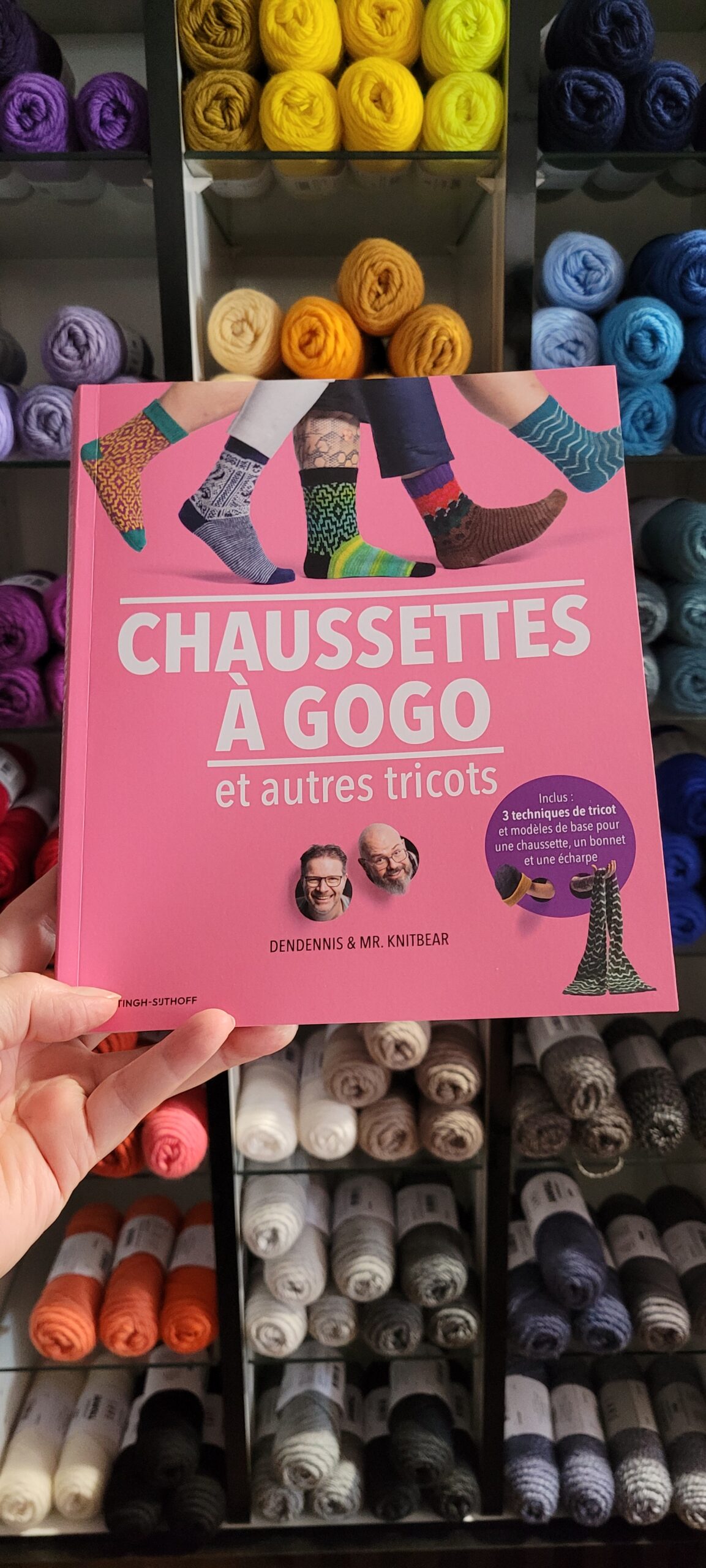 livre chaussettes à gogo et autres tricots dendennis et knitbear