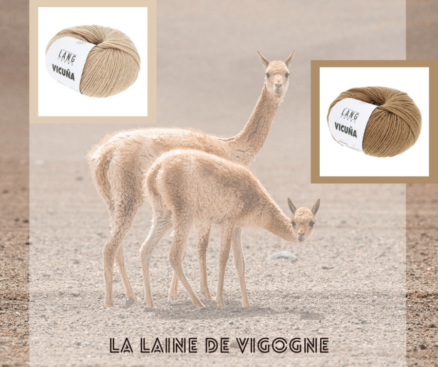 laine de vigogne