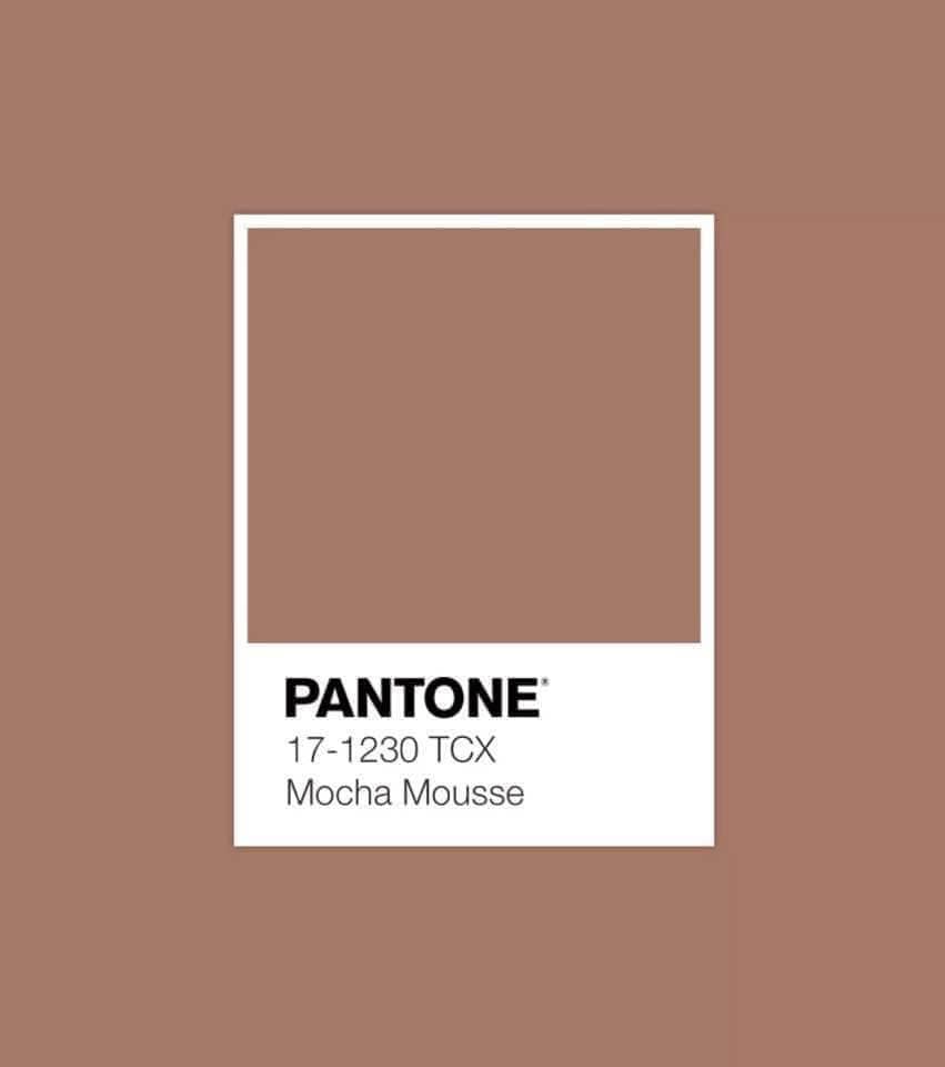 Mocha Mousse - couleur de l'année 2025 par pantone